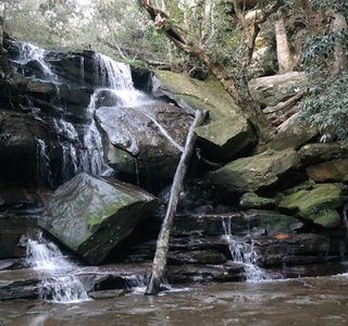 Somersby Falls Picnic Grounds