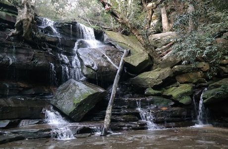 Somersby Falls Picnic Grounds