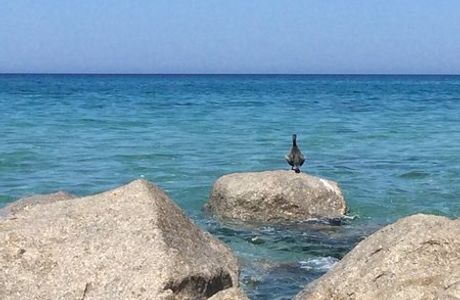 Spiaggia LAgnata