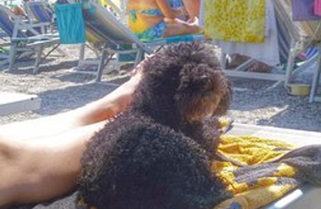 Spiaggia Ex Soggiorno Leonessa