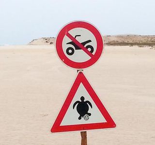 Spiaggia Di Curralinho