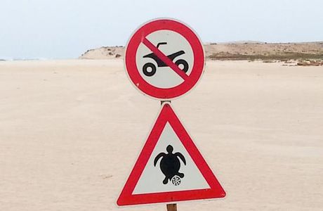 Spiaggia Di Curralinho