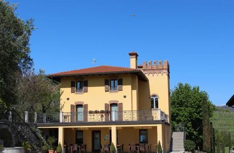 Weingut Il Roncal