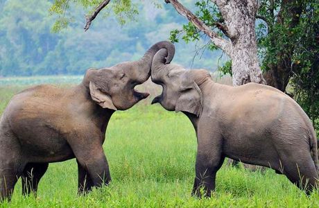 Wasgamuwa National Park