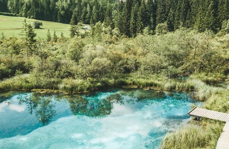 Zelenci Nature Reserve