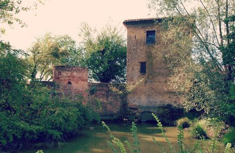 Valli di Novellara e Reggiolo