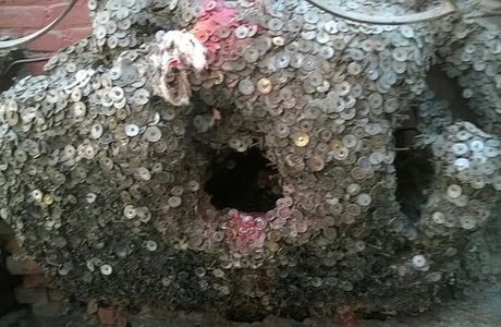 Vaisha Dev (Toothache Tree)