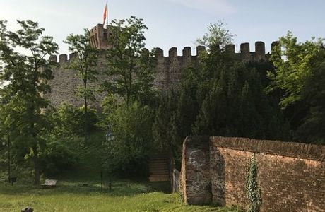 Villa Contarini, detta "Vigna Contarena"