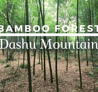 Mt. Dashu Forests Park