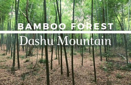Mt. Dashu Forests Park