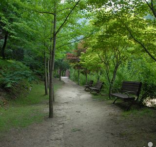 Dong'an Forest Park