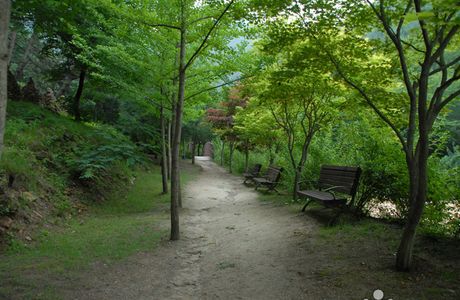 Dong'an Forest Park