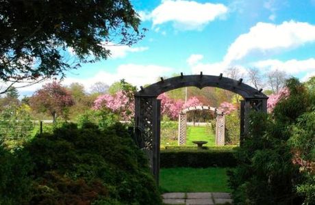 Arboretum (Experimental Farm)