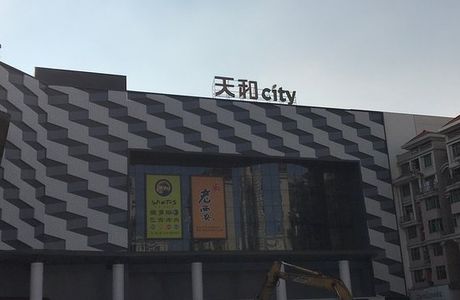 Day and in-Store (camphor wood)