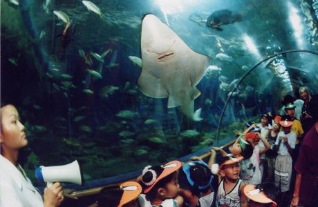 Xiamen Underwater World