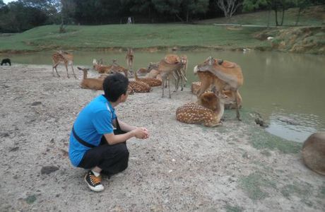 Xiamen Haicang Wild Zoo