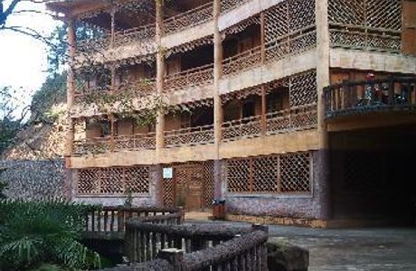 Meizhou Long Tam