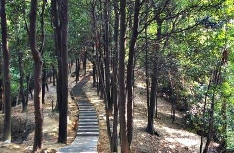 Huolu Mountain Forest Park