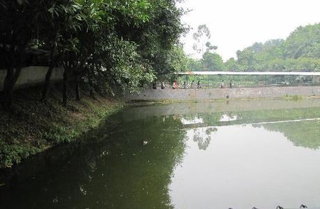 Sanshui Forest Park