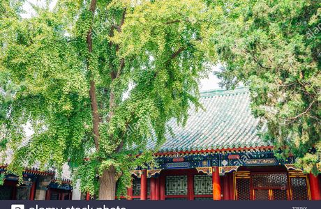 Gong Wang Fu