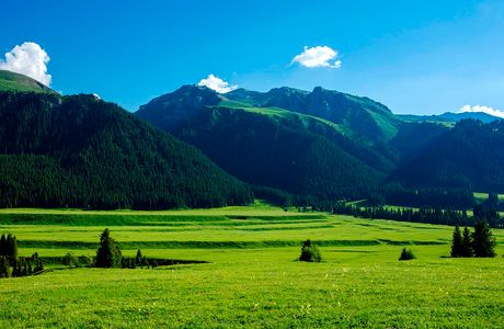 Hongchi Dam Alpine Grassland