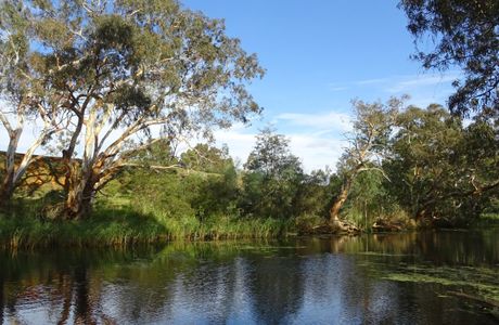 Werribee River