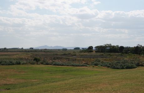 Grahams wetland reserve