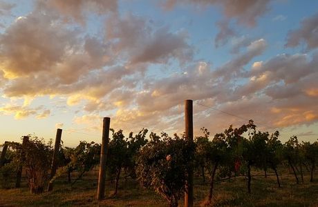 Hunter-Gatherer Winery