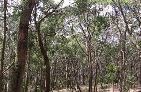 Creswick Regional Park