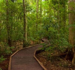 Victoria Park Nature Reserve