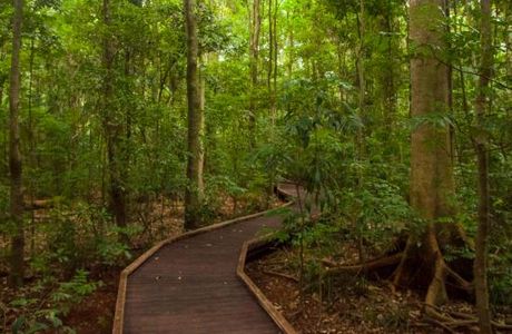 Victoria Park Nature Reserve