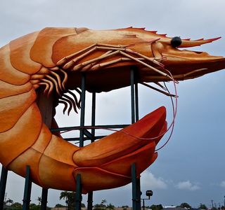 Big Prawn