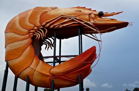 Big Prawn
