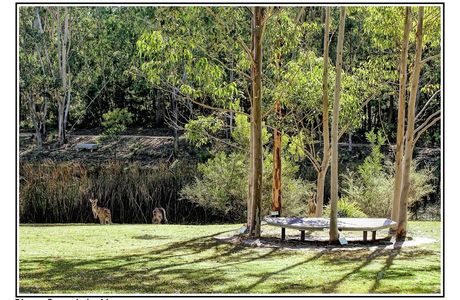 Eurobodalla Regional Botanic Gardens