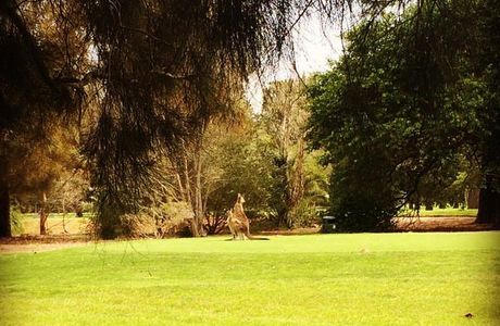 Catalina Country Club