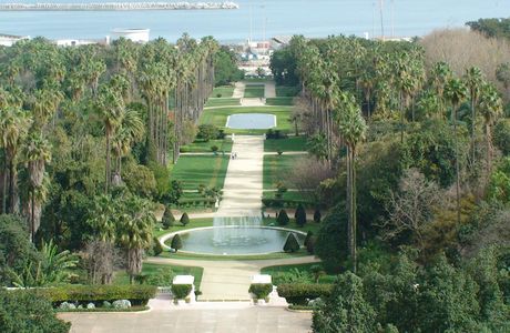 Le Jardin d'Essai du Hamma