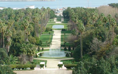 Le Jardin d'Essai du Hamma 1