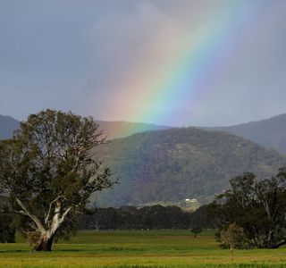 Mount Buangor State Park