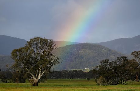 Mount Buangor State Park