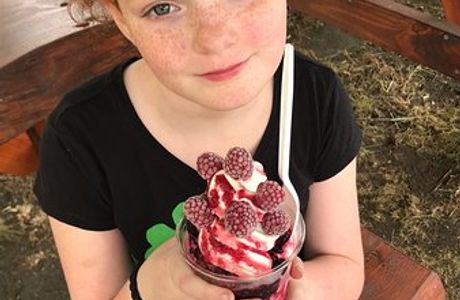 Bright Berry Farms