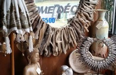 Iguana Beachwear Gifts & Home Decor