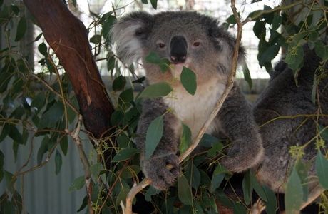 Waterways Wildlife Park