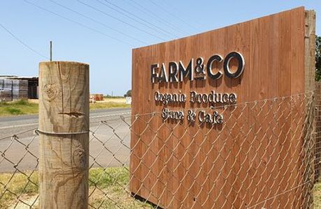 Farm & Co
