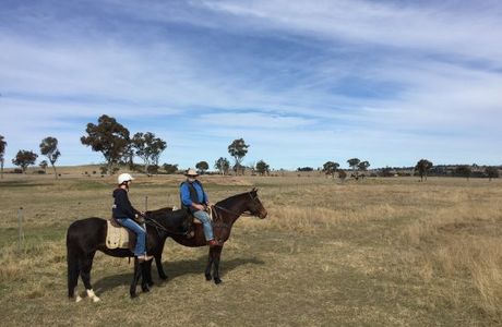 Harlow Park Horse Riding - Private Rides