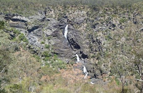 Tia Falls