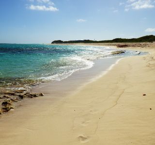 Loblolly Bay
