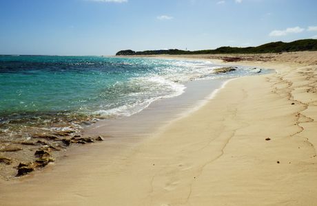 Loblolly Bay