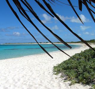 Loblolly Beach