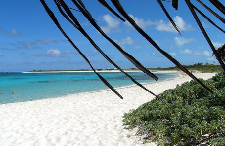 Loblolly Beach