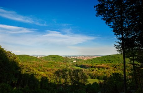 Biosphärenpark Wienerwald